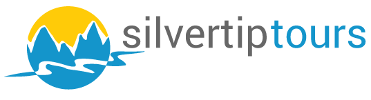 Silvertip GmbH Logo